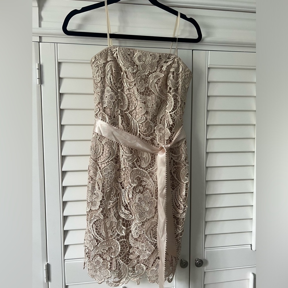 Gorgeous Caché dress